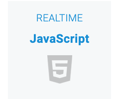 JavaScript SDK